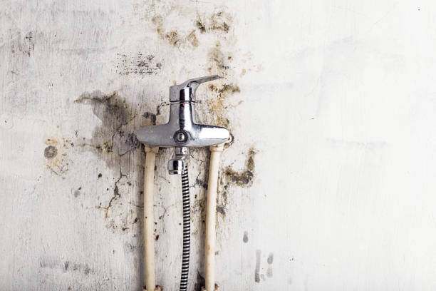 Best Post-Flood Mold Remediation in New Castle Northwest, PA