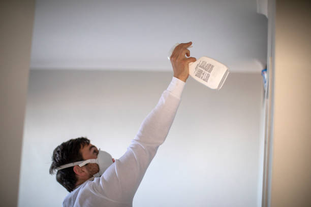 Best Insurance-Related Mold Remediation in New Castle Northwest, PA
