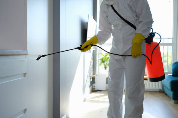Best Commercial Mold Remediation in New Castle Northwest, PA